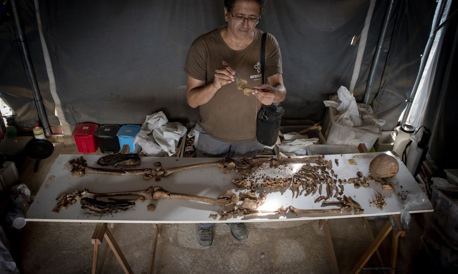 Imágenes de la fosa común de Pico Reja, en el cementerio de San Fernando