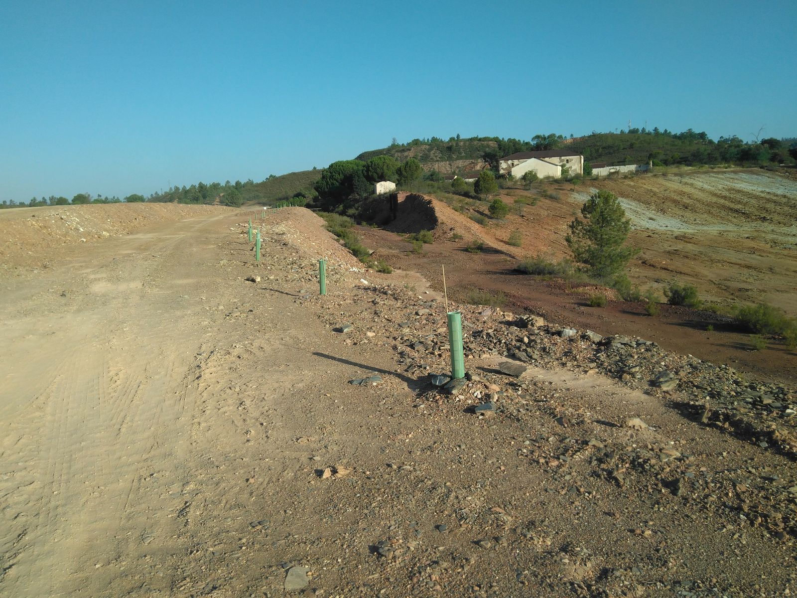 Actuaciones de replantación de plantaciones compensatorias en el trazado de red de riego.