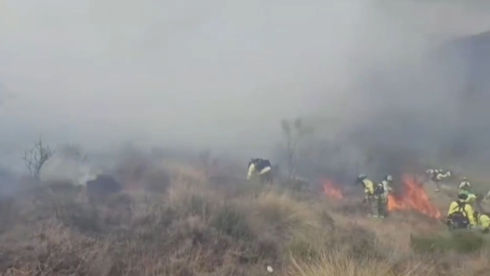 Agentes del Infoca trabajan en la extinción del incendio forestal en La Taha.
