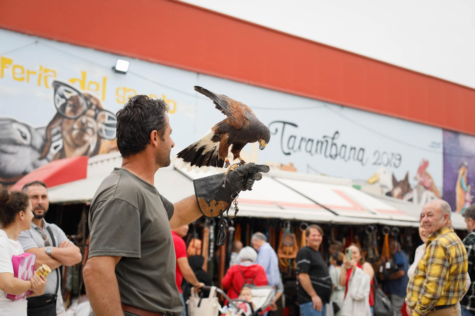 Galería de la Feria  de ganado en Tarambana