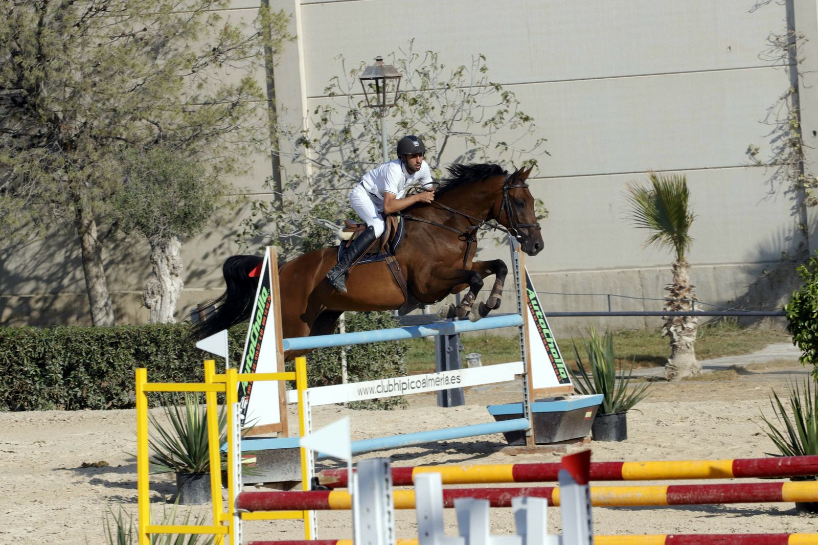 Fotogalería del XLV Concurso Nacional de Salto de Obstáculos