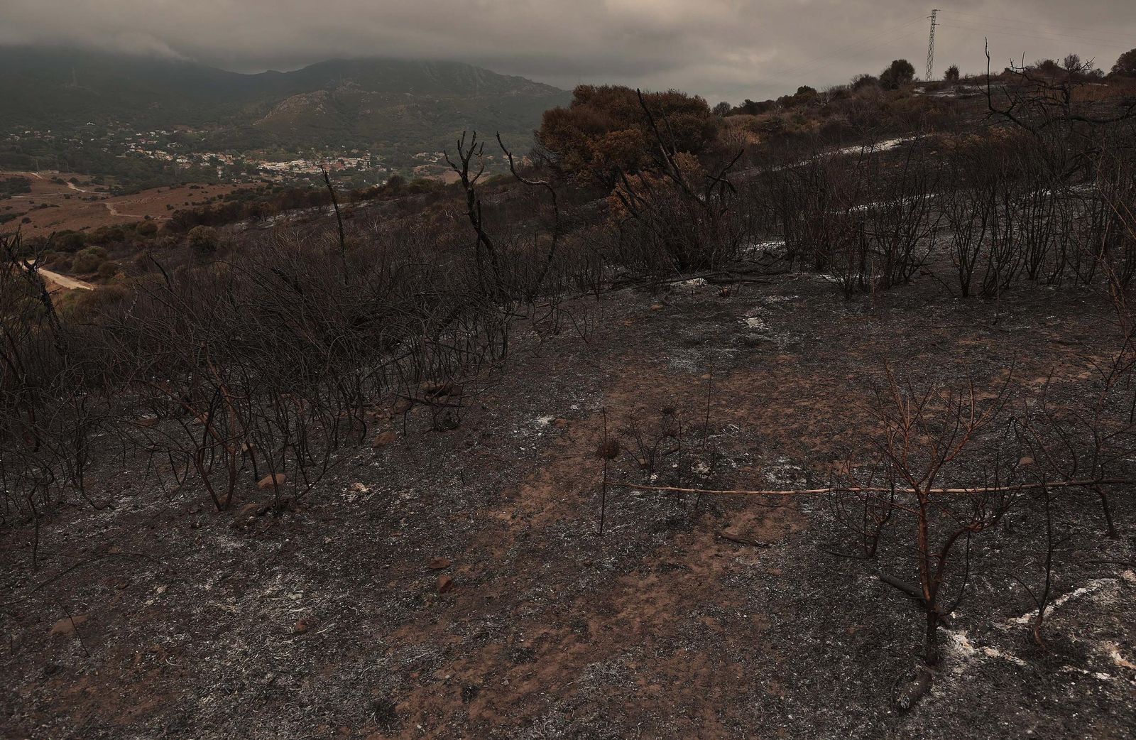 Fotos de los efectos del incendio en el Puerto del Laurel en Algeciras
