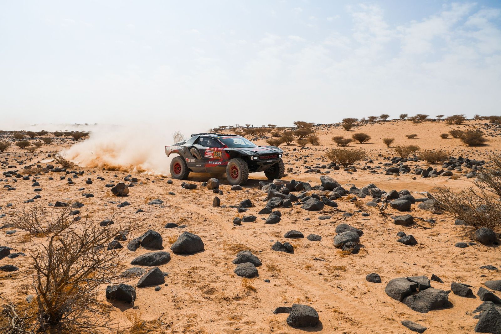 Las mejores fotos del Rally Dakar | undécima etapa