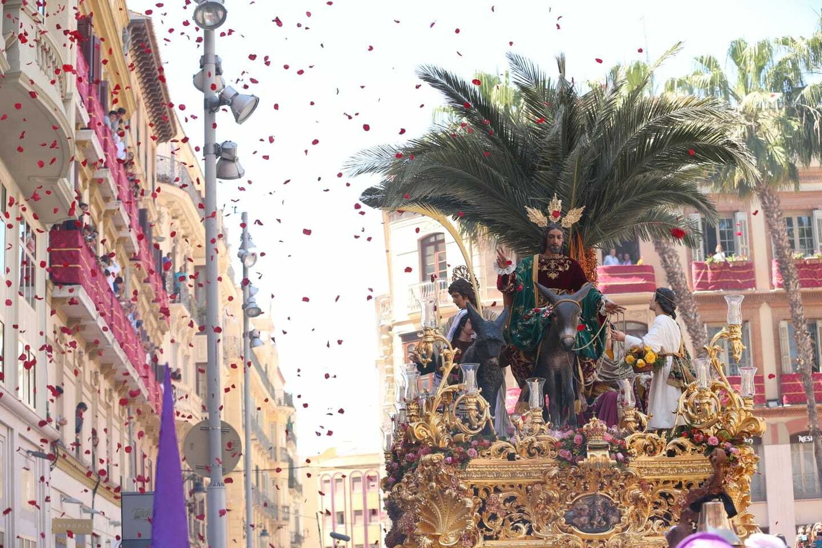 Las fotos de Pollinica en el Domingo de Ramos en Málaga