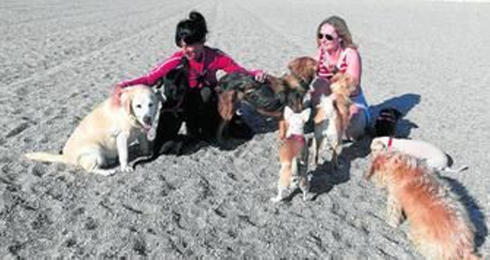 Dos propietarias aprovechan la soledad de la playa en invierno para que sus perros puedan correr de forma libre.