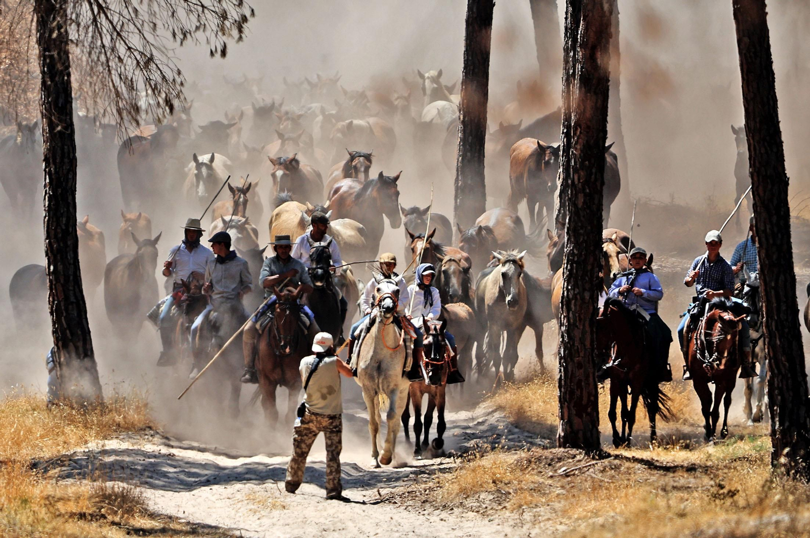 Las mejores imágenes de la Saca de las Yeguas 2025