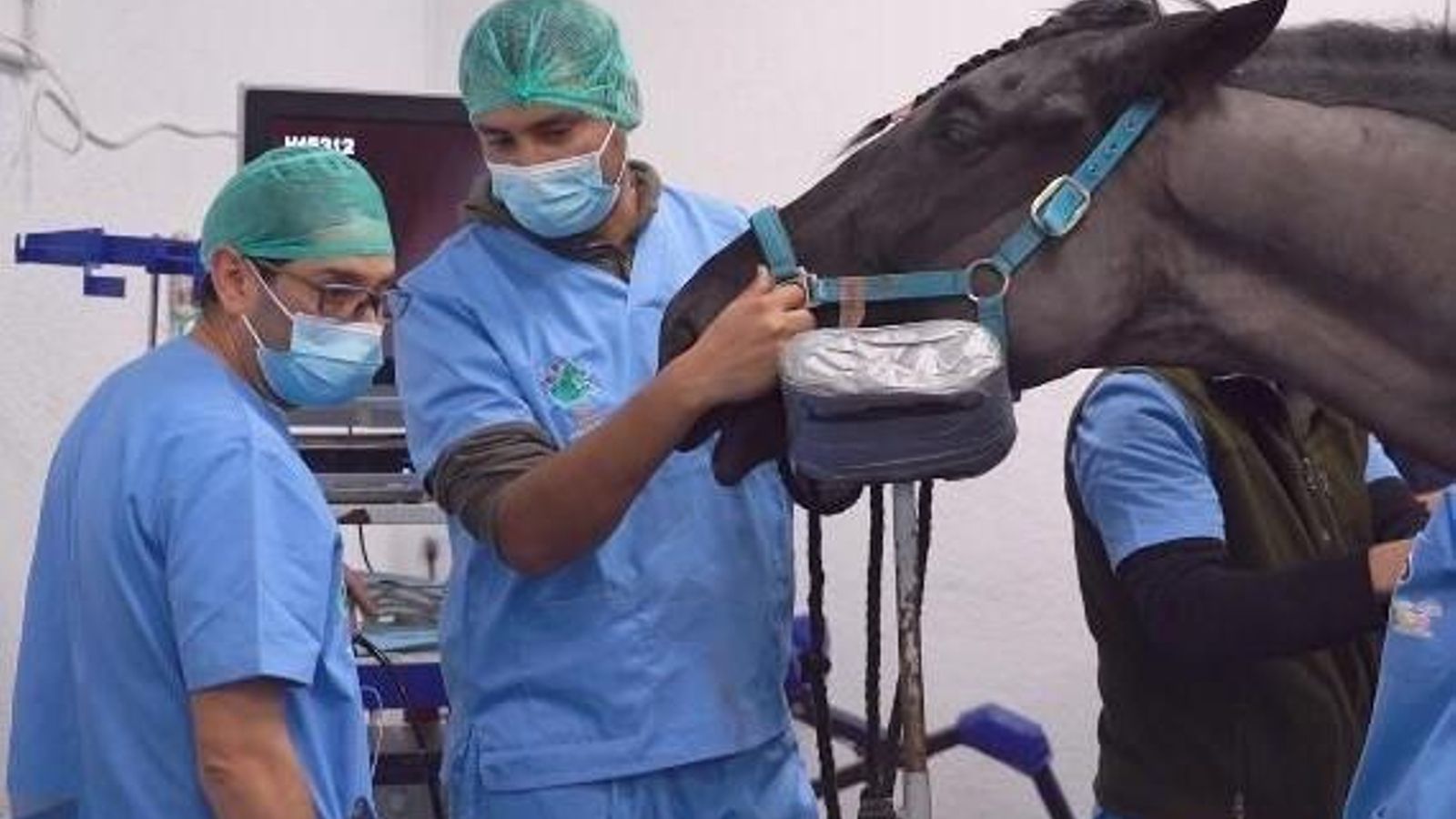 Universidad de Córdoba.