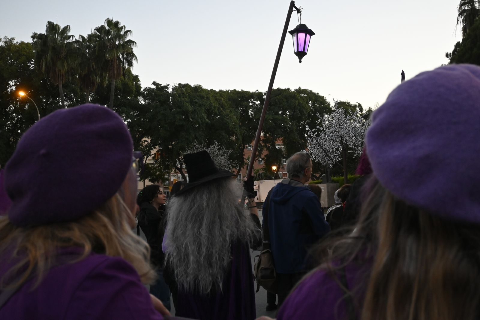Manifestación del 25N en Imágenes.