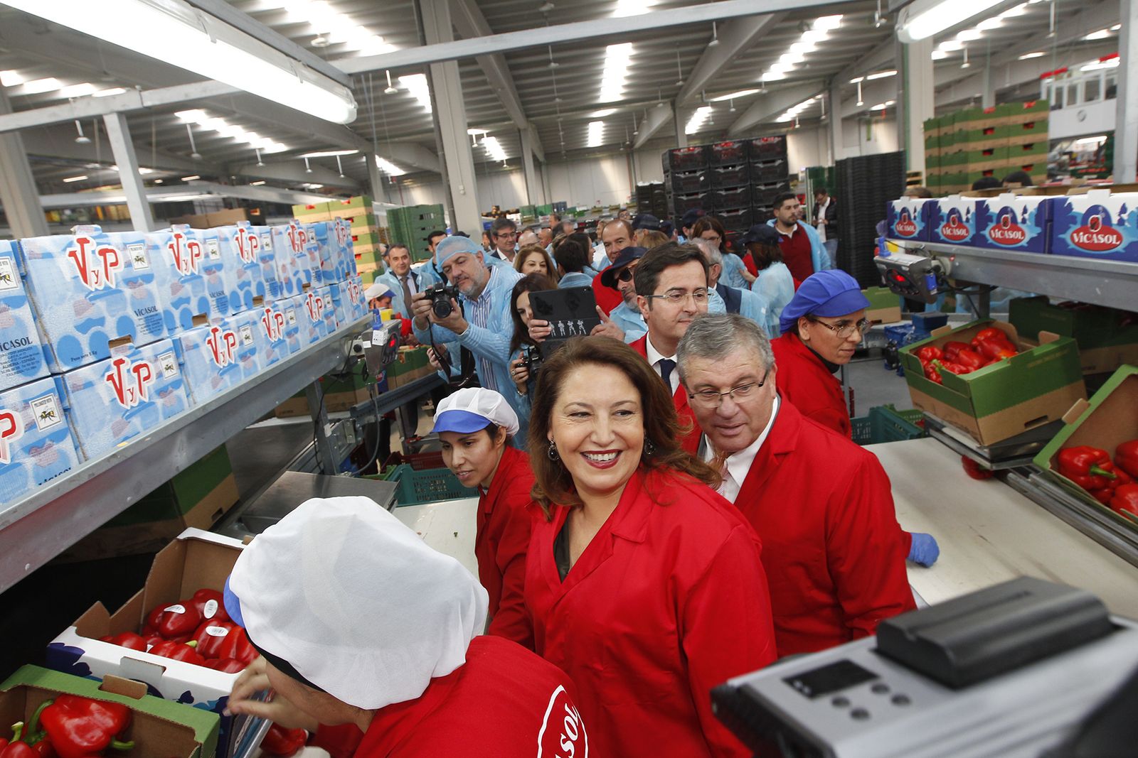 Fotogalería nuevas instalaciones Vicasol 3 en El Ejido