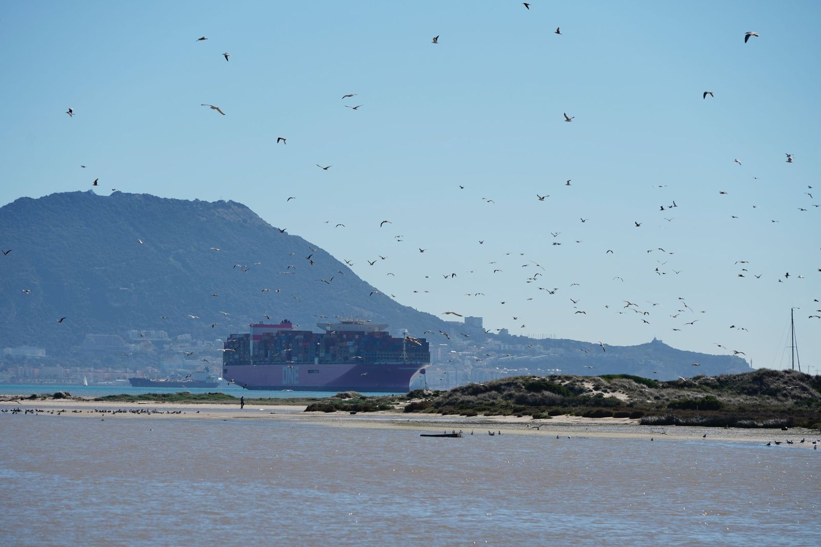 Fotos de la contaminación en el paraje natural marismas del Río Palmones