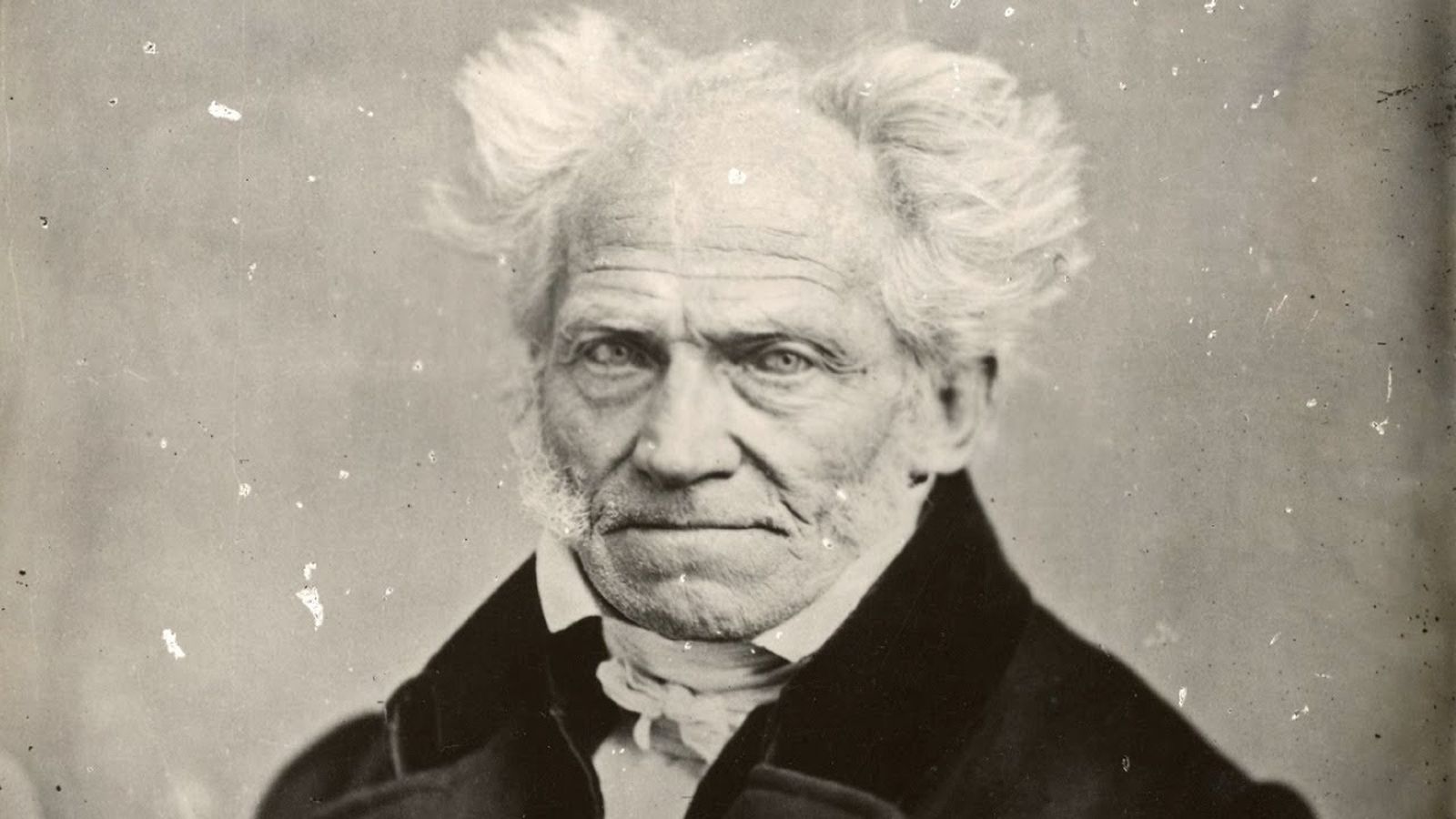 La repercusión de  Schopenhauer