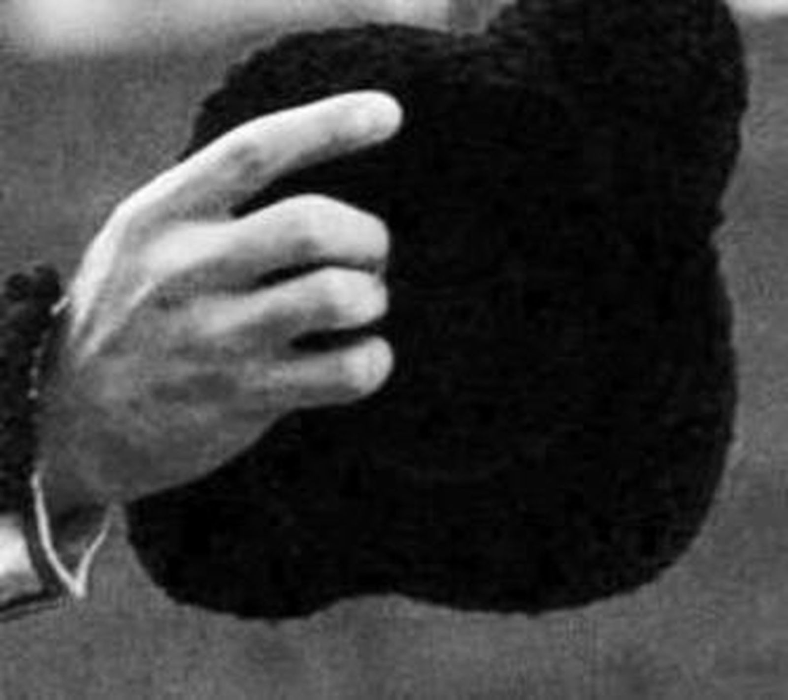 De coraza a obra de arte