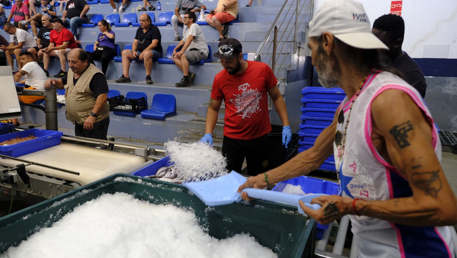 Imágenes de la visita guiada a la Lonja del Puerto Pesquero de Almería