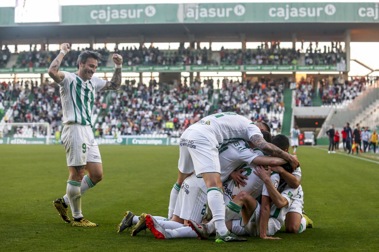 Las fotos del Córdoba CF - Sevilla Atlético