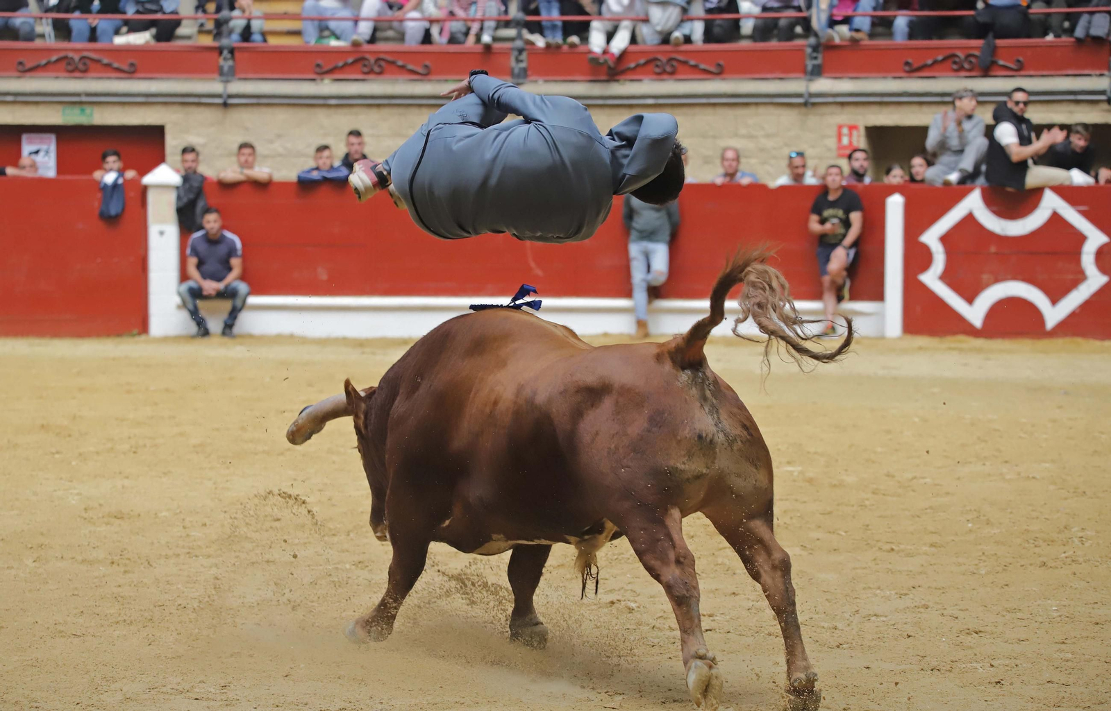 Fotos de los encierros del domingo del Toro Embolao en Los Barrios