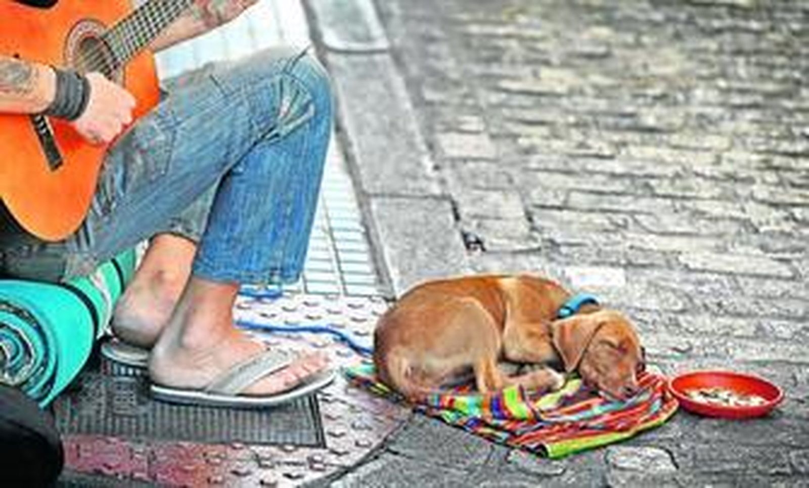 Un hombre pide limosna en una calle de Cádiz tocando la guitarra.
