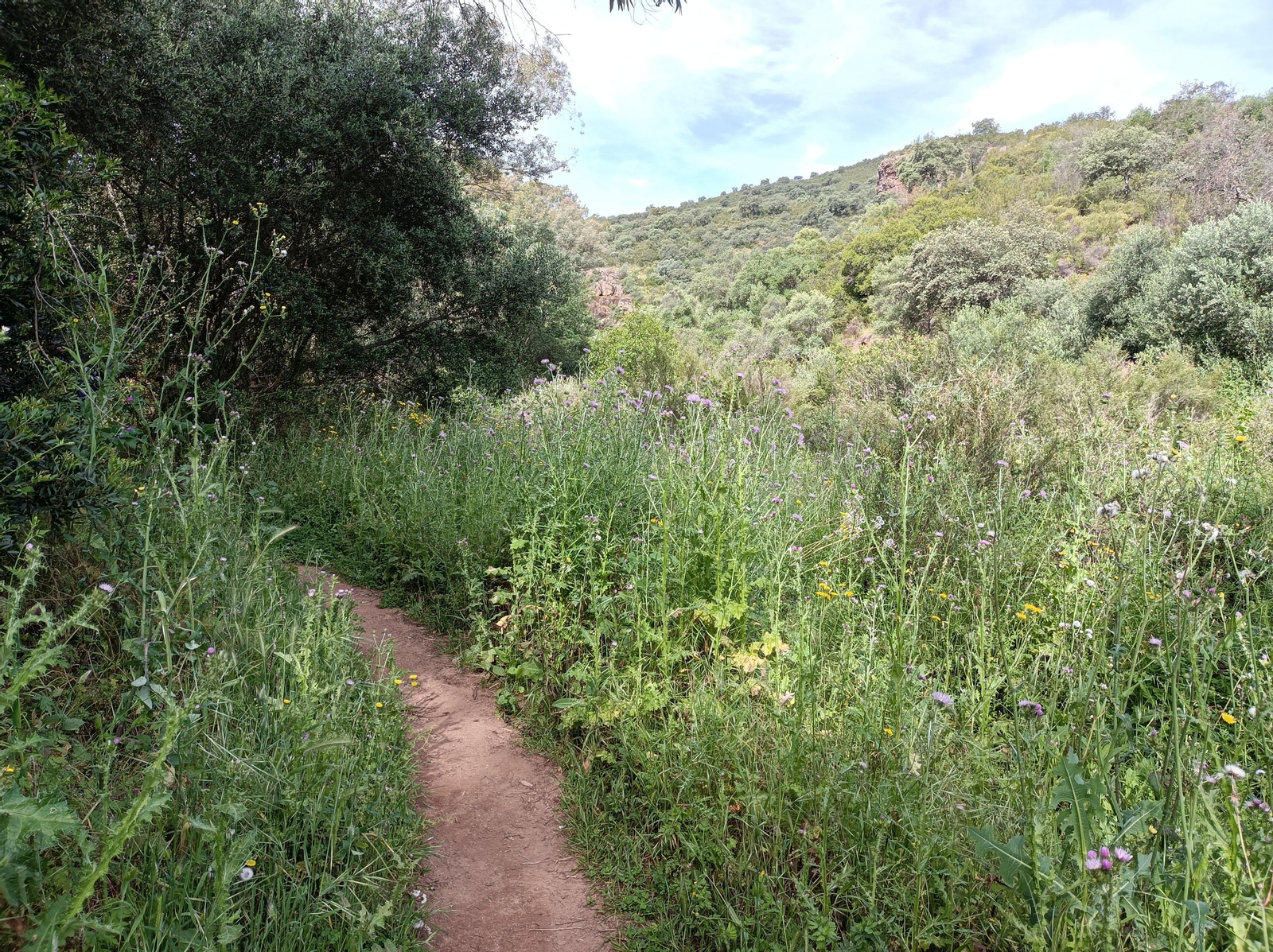 Imágenes de la georruta de El Chorro, en Almadén de la Plata