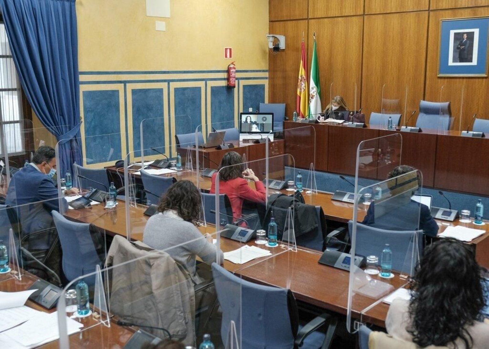 Un momento del desarrollo de la Comisión de Agricultura celebrada en el Parlamento andaluz.