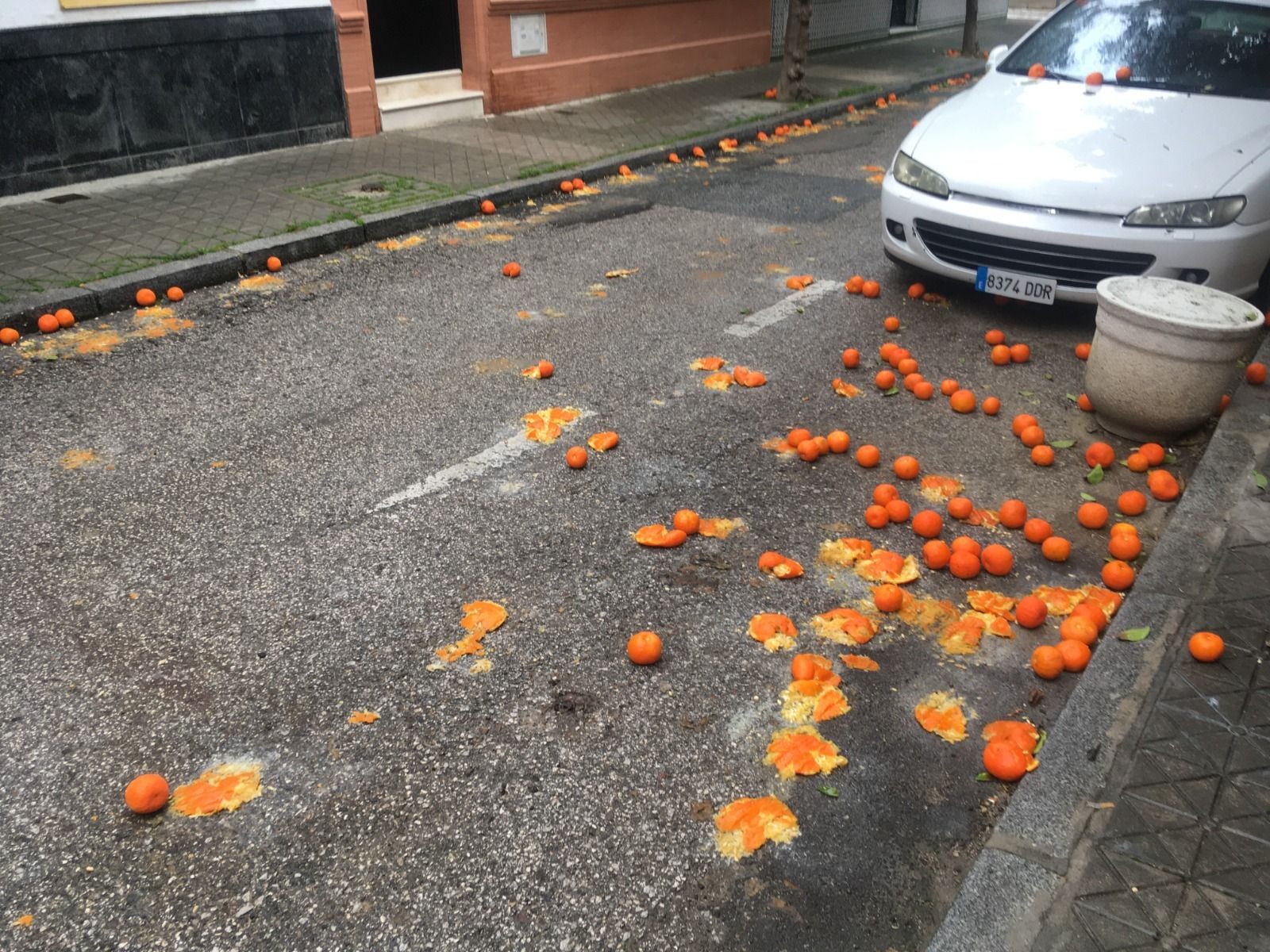 Naranjas en el suelo de Sevilla