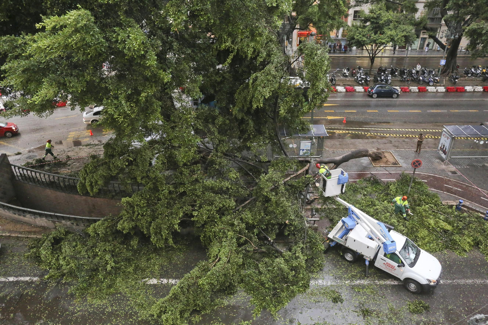 Las consecuencias del paso de 'Ana' por Málaga