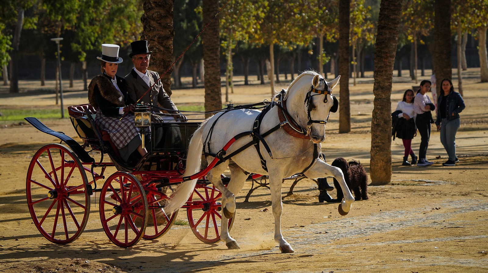 Tradición y elegancia en el Concurso Internacional de Enganches