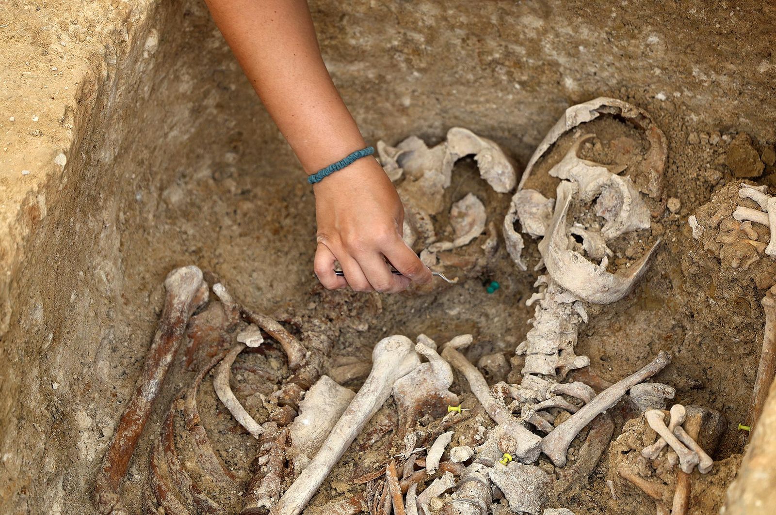Imágenes de la visita a los trabajos de exhumación en las fosas comunes del Cementerio de La Soledad
