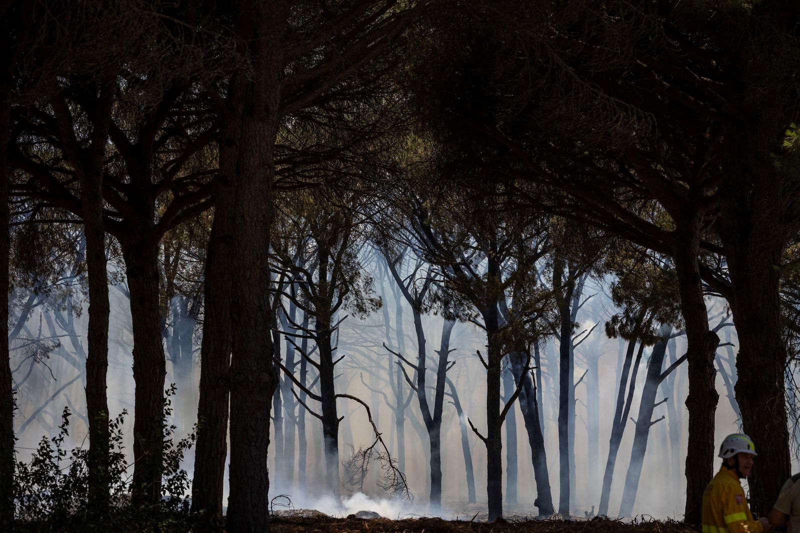 Una de las imágenes del reciente incendio en Chiclana.