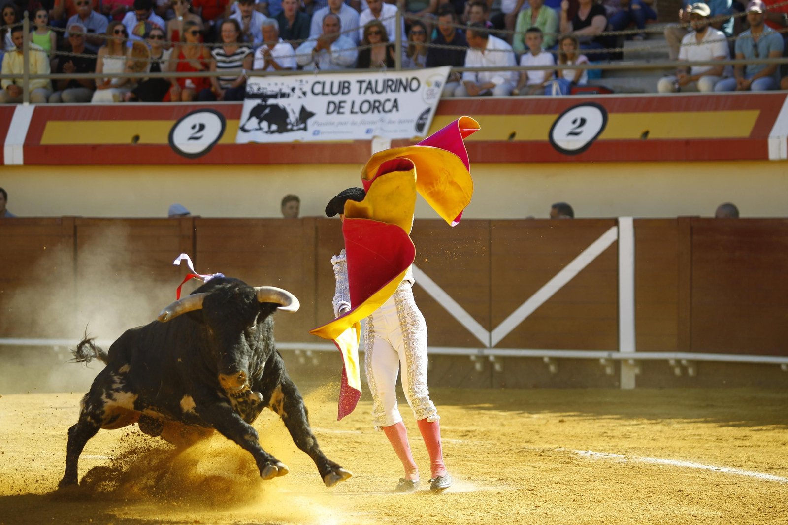 Imágenes de la corrida de Toros en Vera