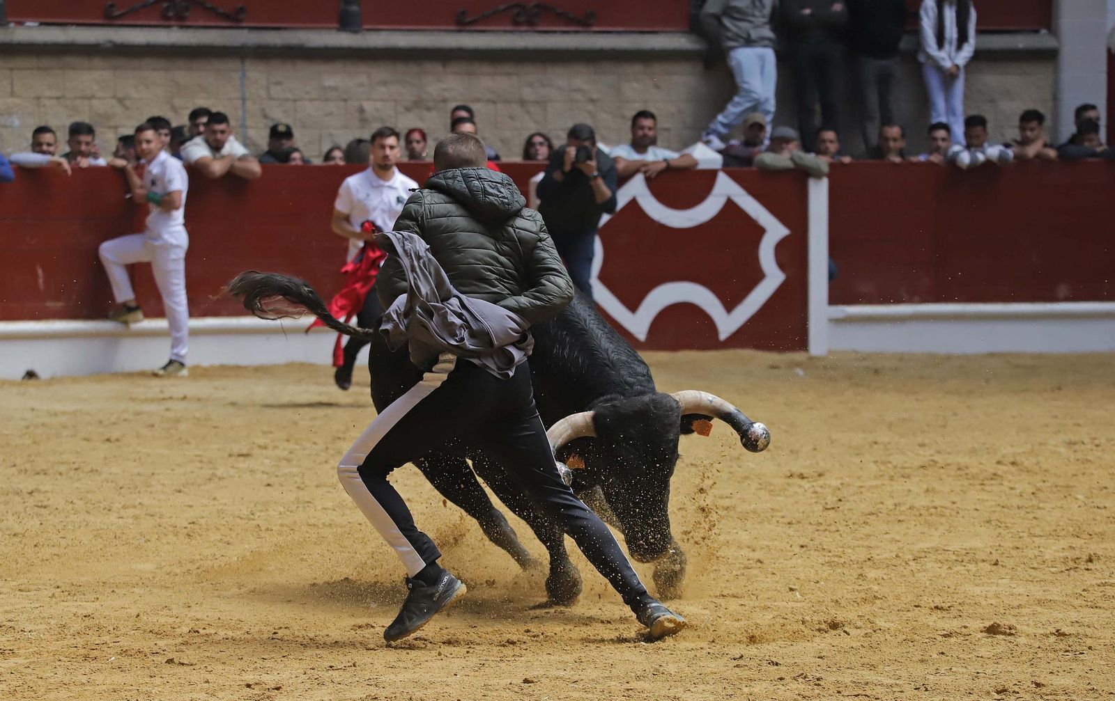 Fotos de los encierros del domingo del Toro Embolao en Los Barrios