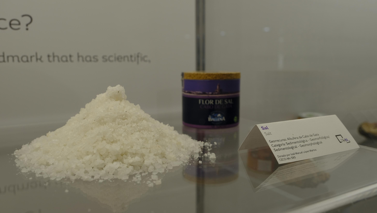 Descubre en estas fotos las maravillas que esconde el Pabellón de Historia Natural de la UAL