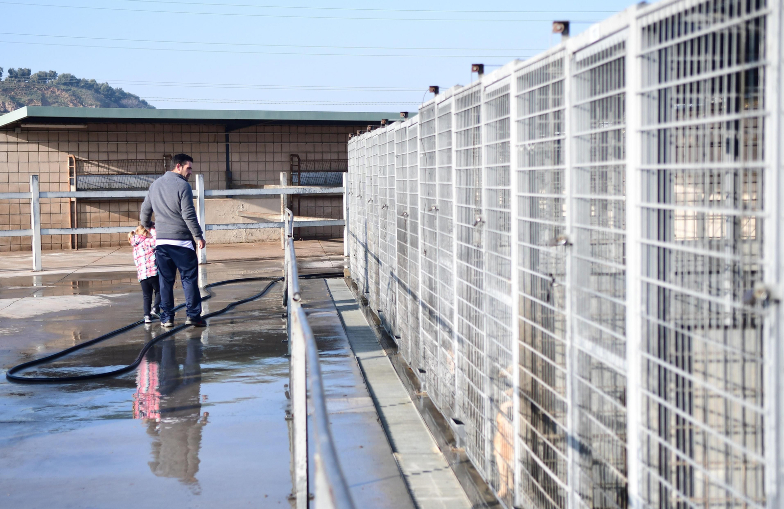 Mascotas que esperan dueño en las perreras de Sadeco