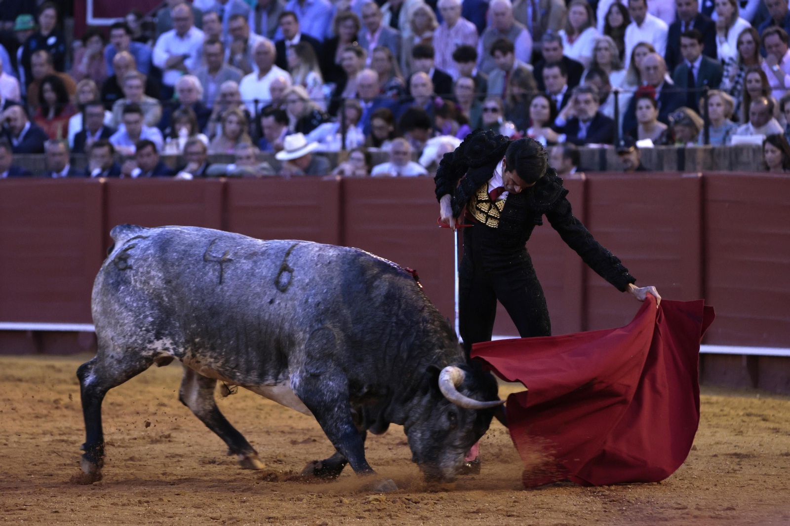 las imágenes del festejo