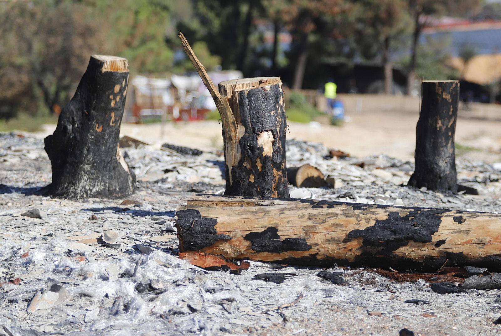 Imágenes del incendio del asentamiento de chabolas de Palos de la Frontera