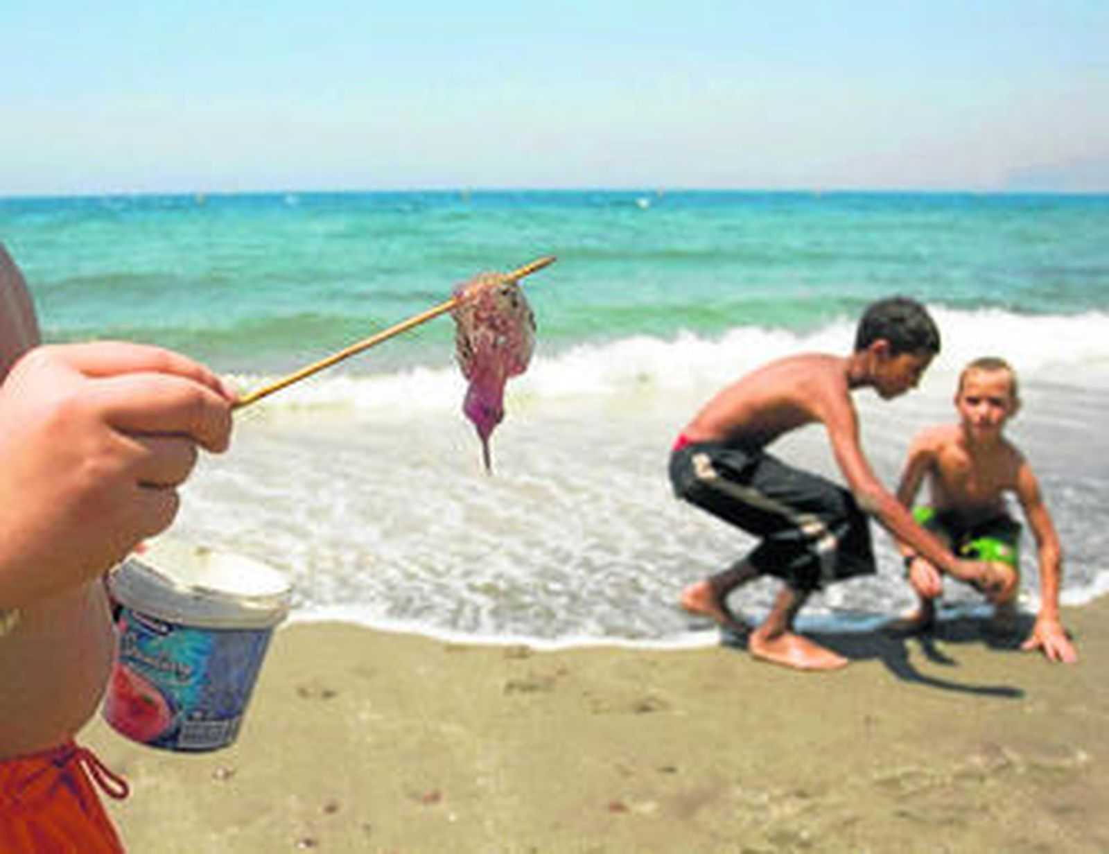 Las plagas de medusas son uno de los principales temores de los bañistas.