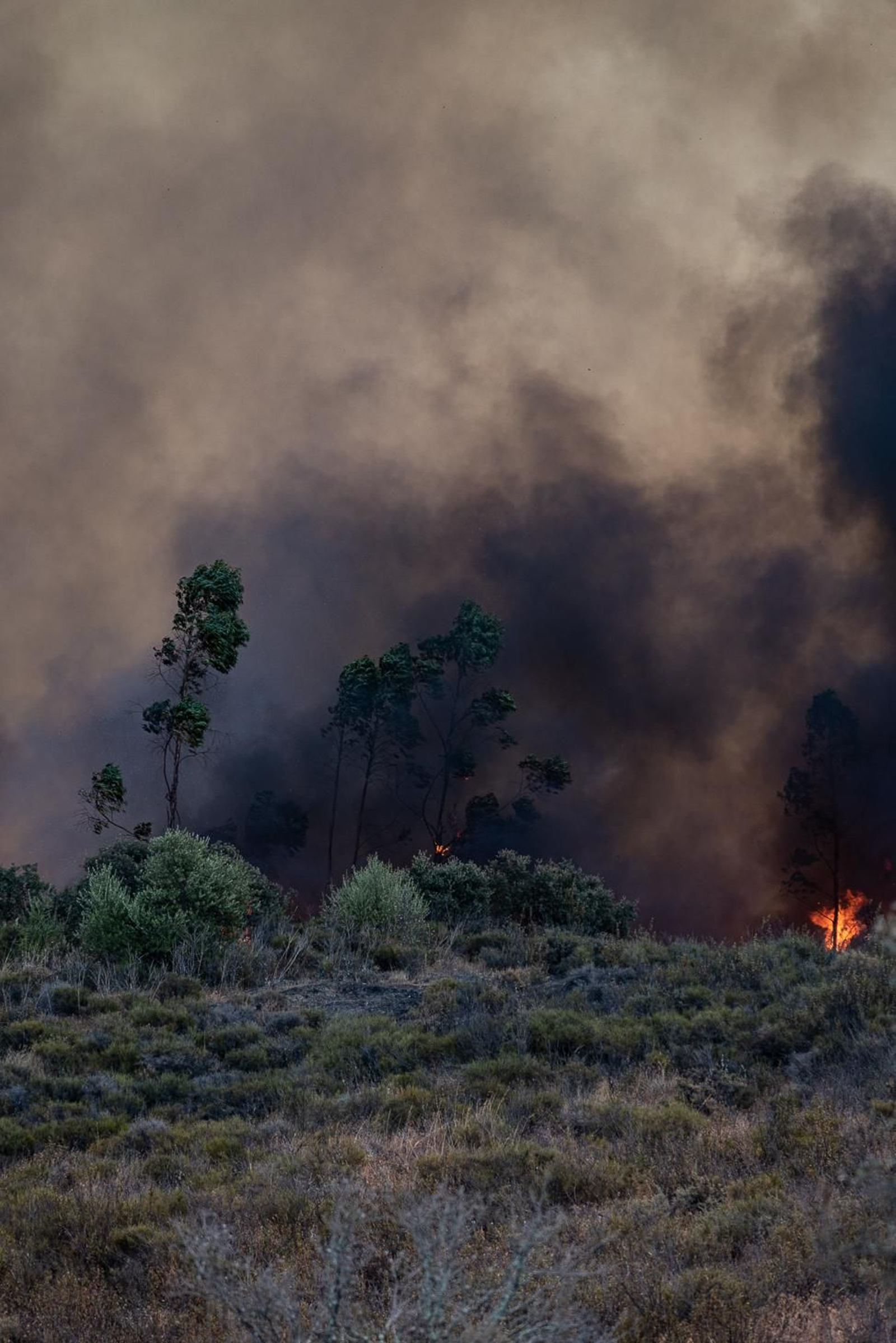 Imágenes del incendio de Almonaster a su paso por Zalamea