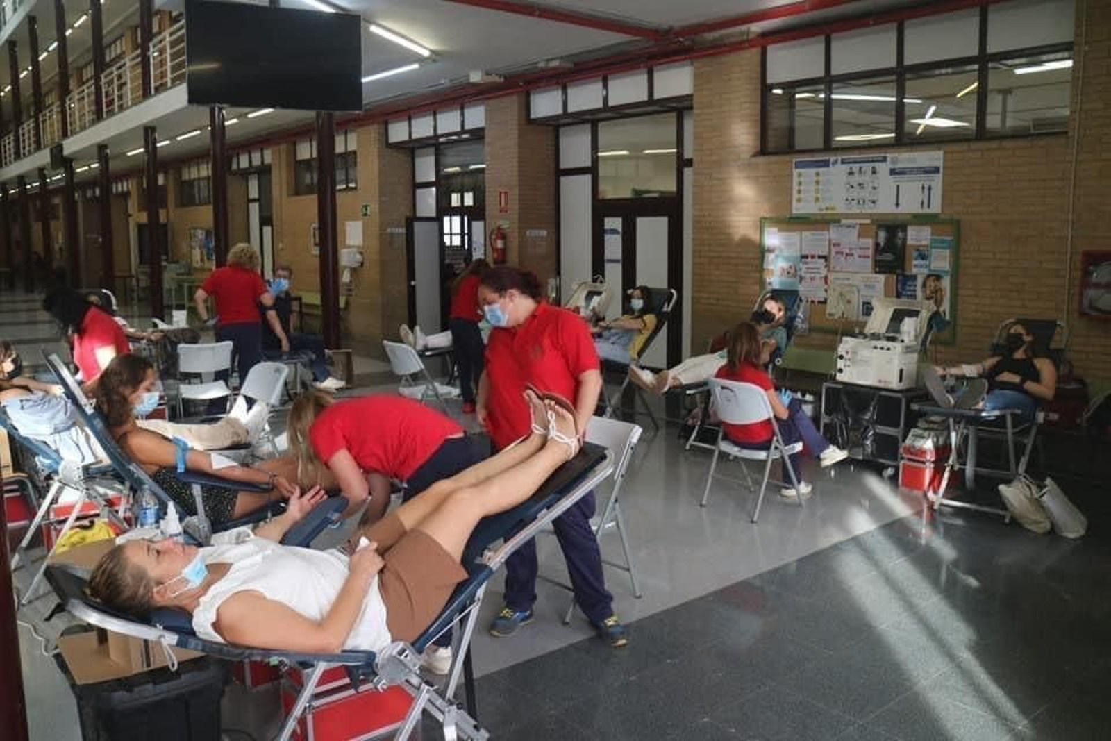 Colecta en la Universidad de Almería
