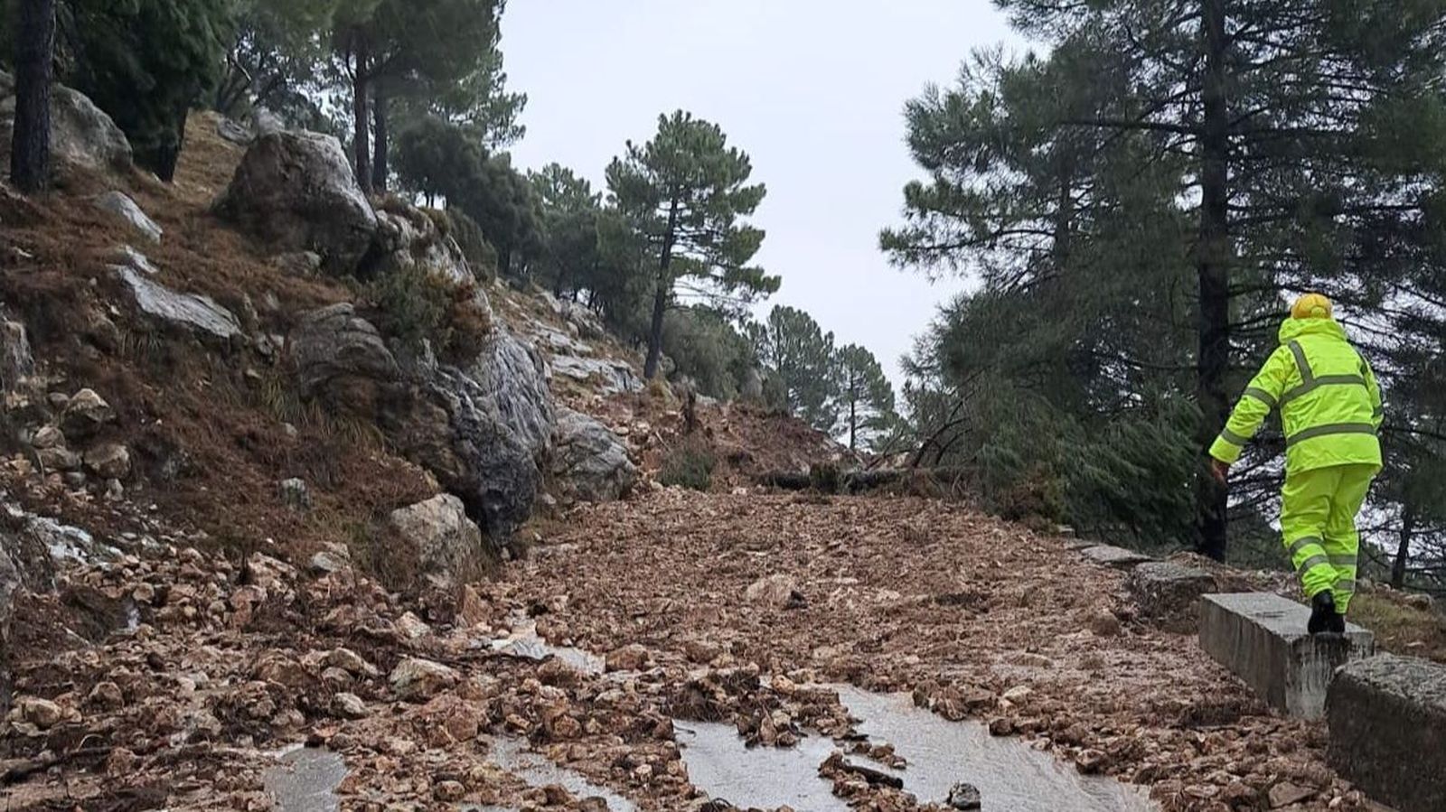Carretera CA-9104 que comunica Grazalema y Zahara de las Sierra a través del puerto de Las Palomas.