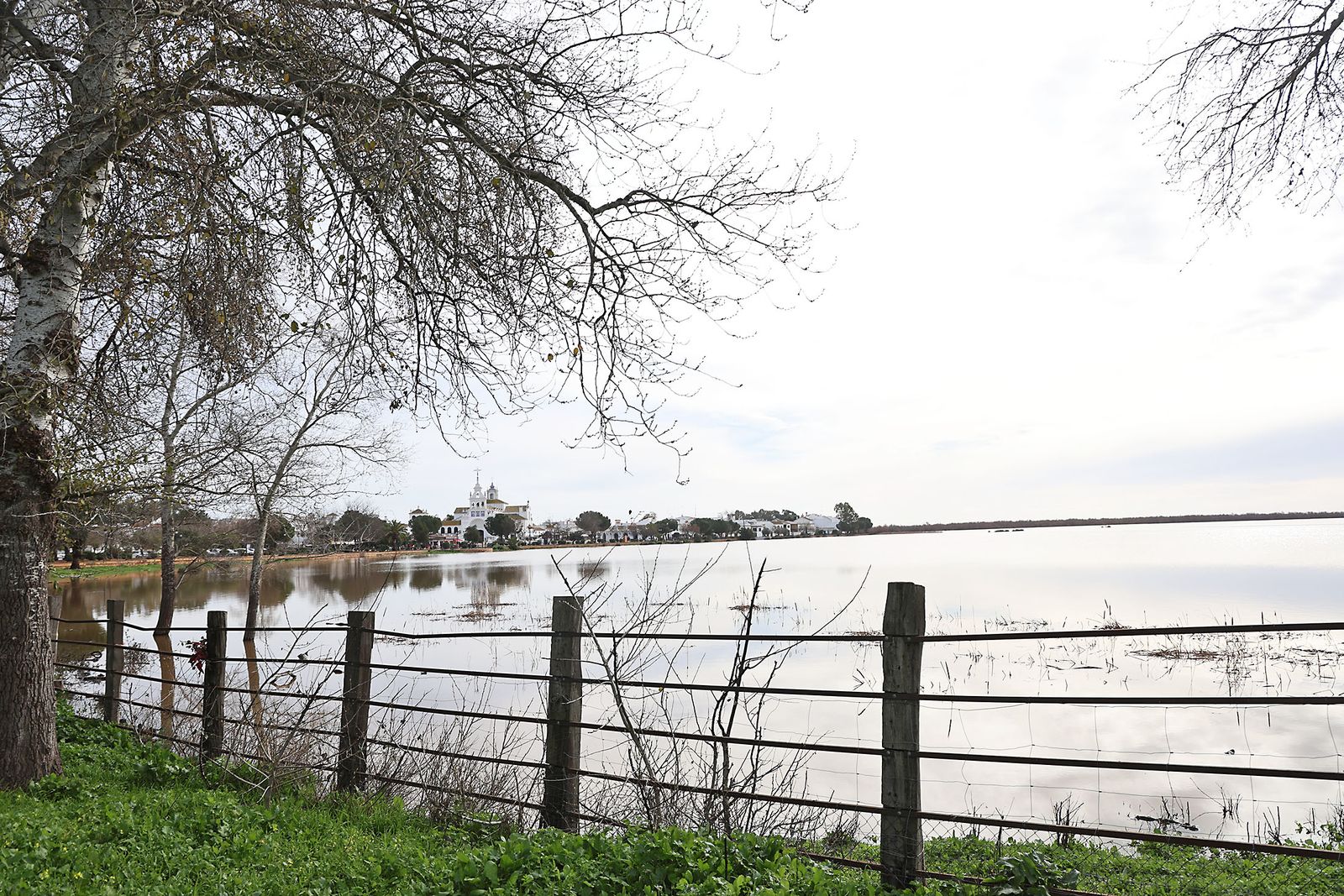 El estado de las marismas del Rocío tras el paso de la borrasca Marta