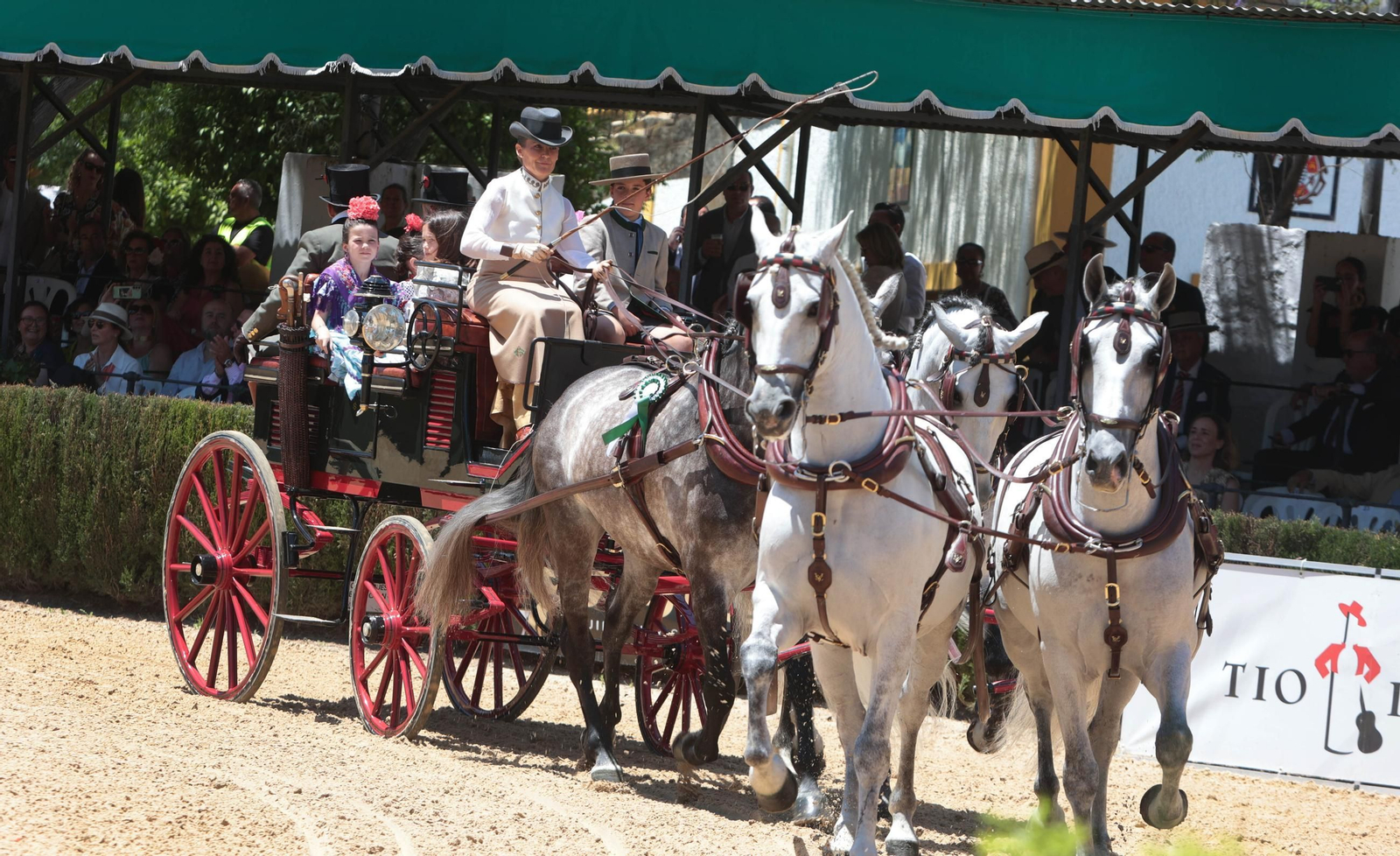 Entrega del Caballo de Oro Jerez 2024 a Francisco Dorante