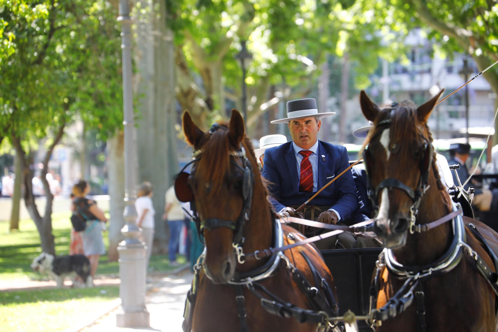 La exhibición de carruajes de tradición Nuestra Señora de la Salud, en imágenes