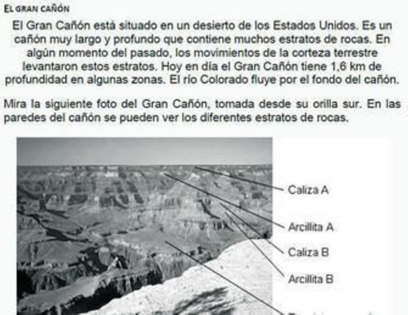 Planteamiento inicial en una prueba PISA Ciencias 2012. ¿Son o no contextos virtuales?