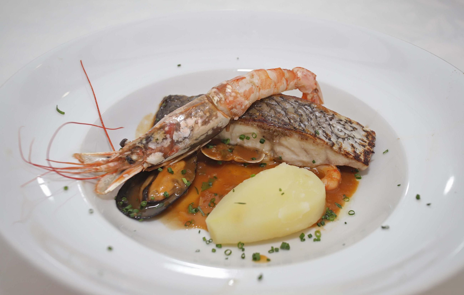 Semana Santa 2025: Tertulia cofrade de Europa Sur en Algeciras