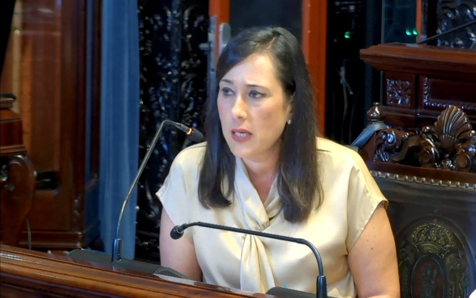 Rocío Arrabal, durante un pleno.